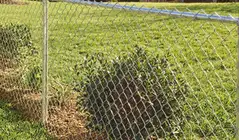 Chain link fence installed around a residential property, providing durable and affordable perimeter fencing in {city}, {state}